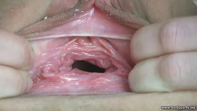 Budak dipukuli,disiksa 1. video kontol crot Bagian B