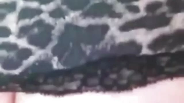 Impian lebah video bokep sampai crot menakjubkan
