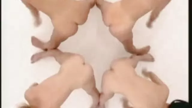 Di Sini, ngentod crot Nuh Adalah Fucked